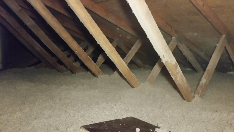 Illustration for article titled Garagelopnik - Insulation Edition